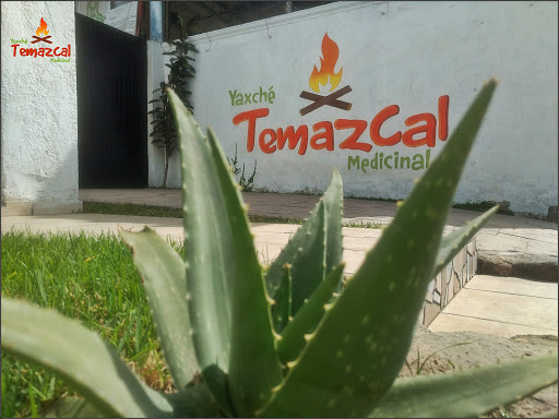 TEMAZCAL-YAXCHÉ, Av Constitución 218, El Rosarito, 45404 Tonalá, Jal., México, Asesor médico | CHIS