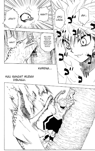 Hiatus Manga Hunter_x_Hunter 238 page 15