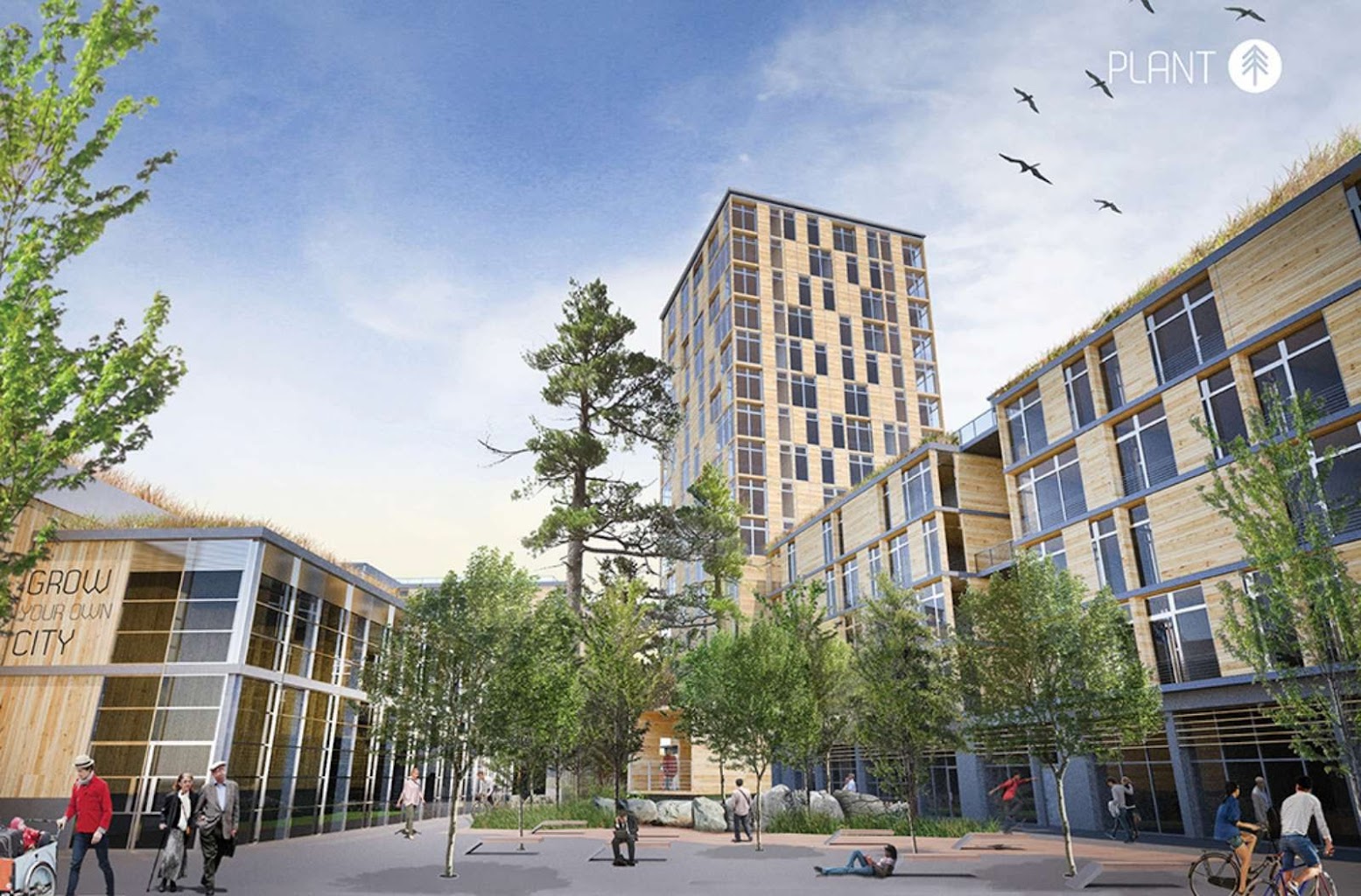 Timber in the City competition First place