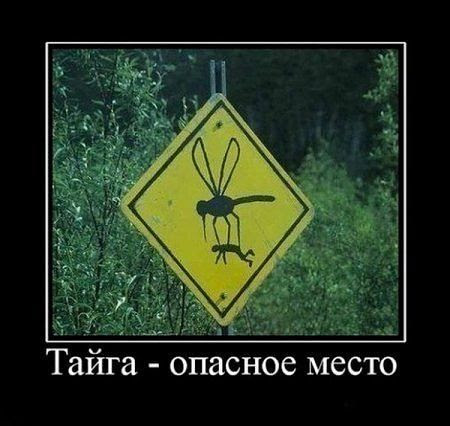 %D1%82%D0%B8%D1%82%D1%82%D1%82%D0%B8%D0%