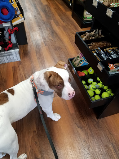 Pet Supply Store «Pet Valu», reviews and photos, 2315 Hanover Pike, Hampstead, MD 21074, USA