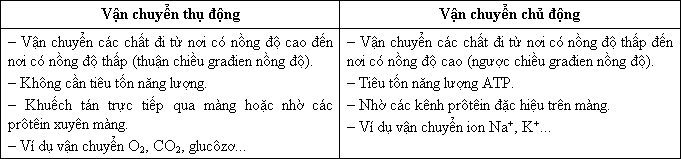 van chuyen chu dong vs bi dong