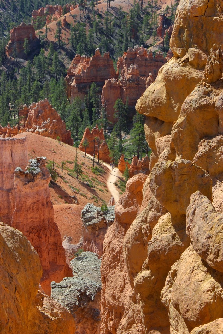 Día 11: Visita a Bryce y llegada a Zion - Parques nacionales del oeste de EEUU and more (26)