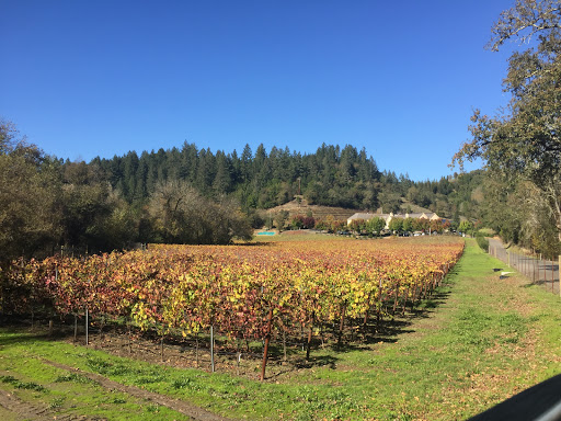 Winery «Hartford Family Winery», reviews and photos, 8075 Martinelli Rd, Forestville, CA 95436, USA