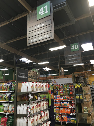 Hardware Store «Orchard Supply Hardware», reviews and photos, 13233 South St, Cerritos, CA 90703, USA