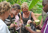 Gewürztour auf Sansibar. © Foto: Bernd Gerlach