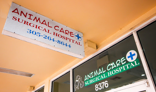 Animal Hospital «Animal Care and Surgical Hospital», reviews and photos