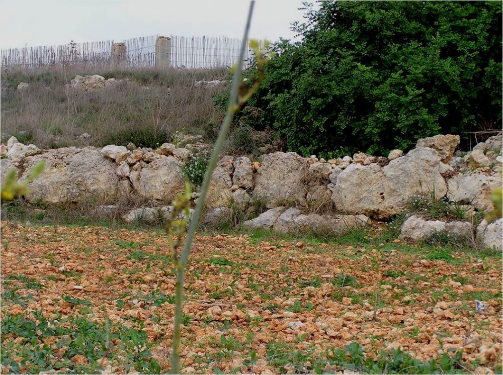 50 new sites in Malta scheduled for protection 50 new sites in Malta scheduled for protection