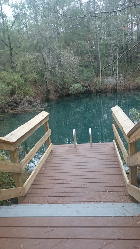 Tourist Attraction «Pitt Spring Recreation Area», reviews and photos, 6315 FL-20, Youngstown, FL 32466, USA