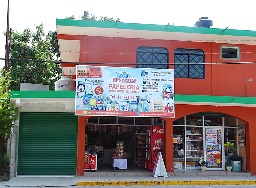 Pegasus Multiservicios Empresariales, Av. 21 de Marzo Manantial 106, Int. A, Manantial, Tihuatlán, Ver., México, Tienda de regalos | VER