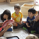 In Montessori elementary, our goal is to help children understand the world. Whenver possible we bring the actual world into the classroom. Here, children are learning about the anatomy of a fish, by looking at a real red snapper.