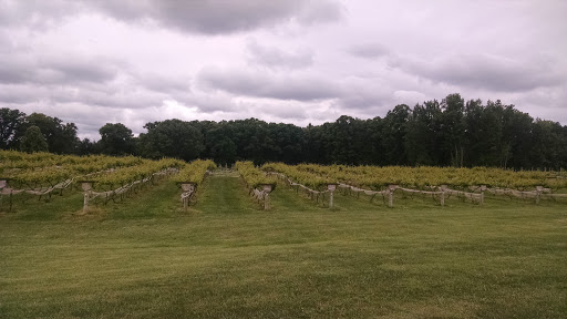 Winery «Weston Farm Vineyard & Winery», reviews and photos, 206 Harris Creek Rd, Louisa, VA 23093, USA