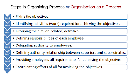 steps in organising process
