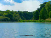 Crowfield Lake