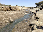 Hot springs at Lake Shalla