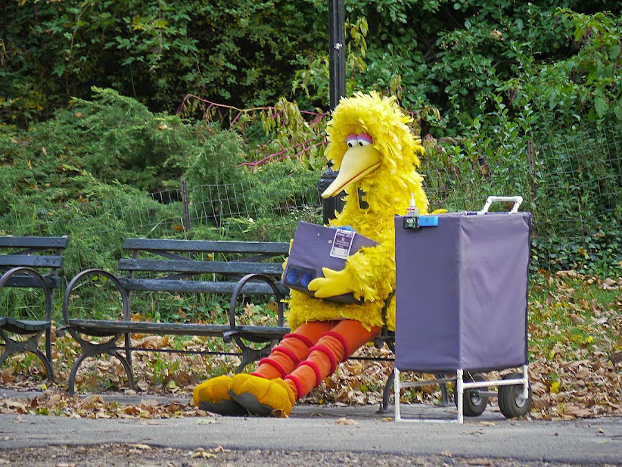 Big Bird