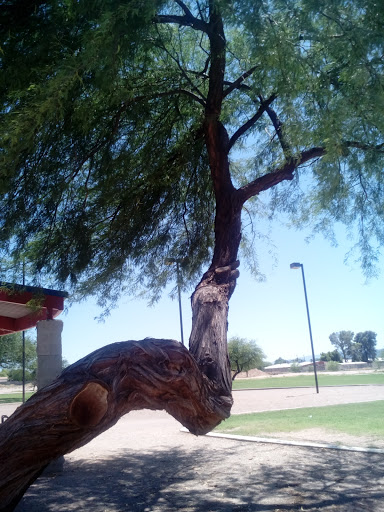 Government Office «El Pueblo Activity Center», reviews and photos, 101 W Irvington Rd #9, Tucson, AZ 85706, USA