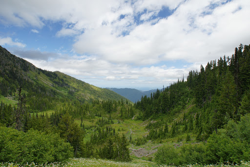 National Park «Olympic National Park», reviews and photos