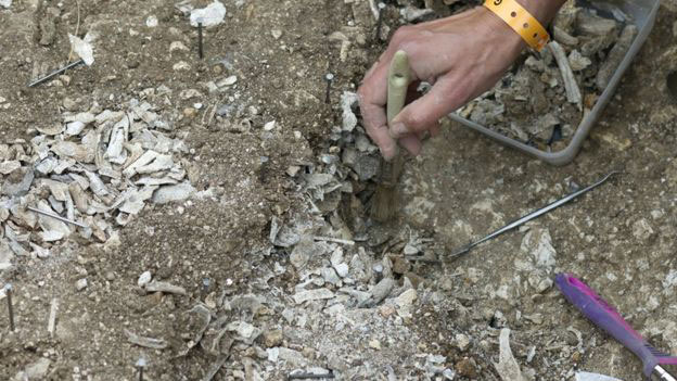 Stonehenge burials show gender equality Stonehenge burials show gender equality