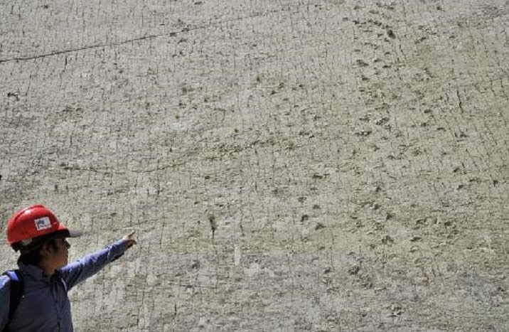 Dinosaur tracks in Bolivia threatened with extinction Dinosaur tracks in Bolivia threatened with extinction