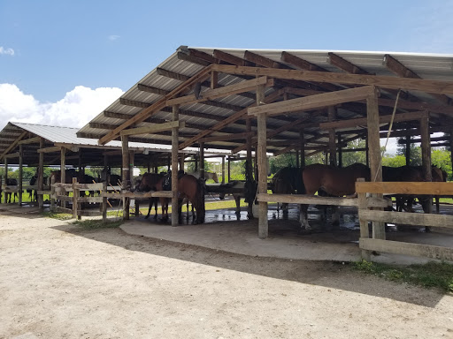 Bar-B-Ranch