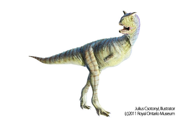 Cyrolophosaurus