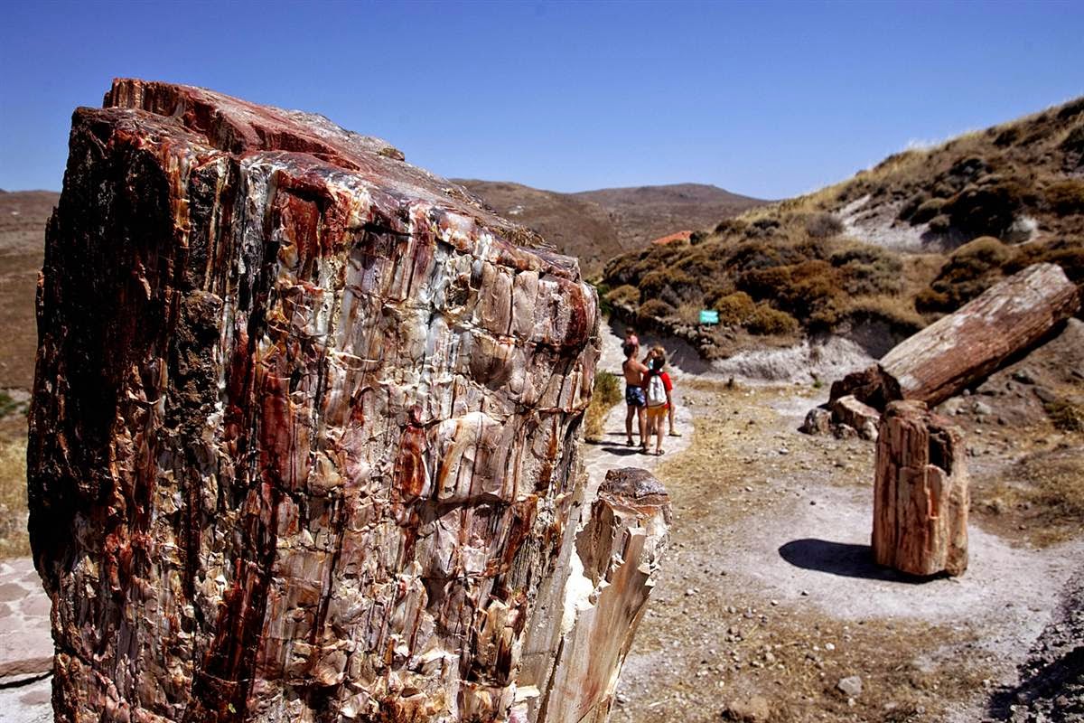 Petrified forest of Lesvos nominated for a UNESCO site Petrified forest of Lesvos nominated for a UNESCO site