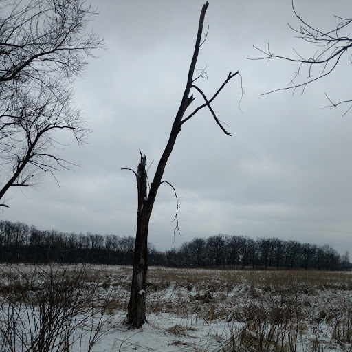 Nature Preserve «Lincoln Marsh», reviews and photos, Harrison Ave & Pierce Ave, Wheaton, IL 60187, USA
