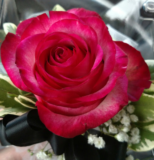 Florist «Flowerama Minneapolis», reviews and photos, 10495 University Ave NE, Minneapolis, MN 55434, USA