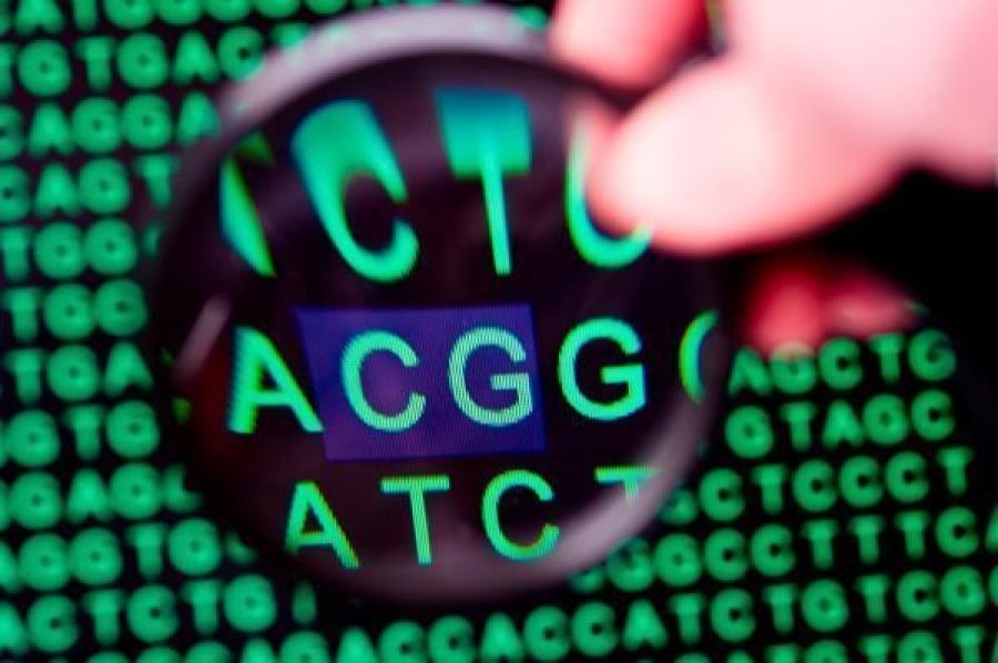 Genome research explains human migration, evolution Genome research explains human migration, evolution