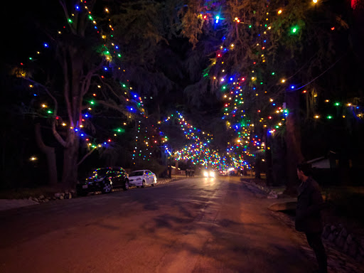Tourist Attraction «Christmas Tree Lane», reviews and photos, Santa Rosa Ave, Altadena, CA 91001, USA