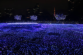 東京ミッドタウンのクリスマスイルミネーション2012(1)【スターライトガーデン】