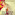 richa