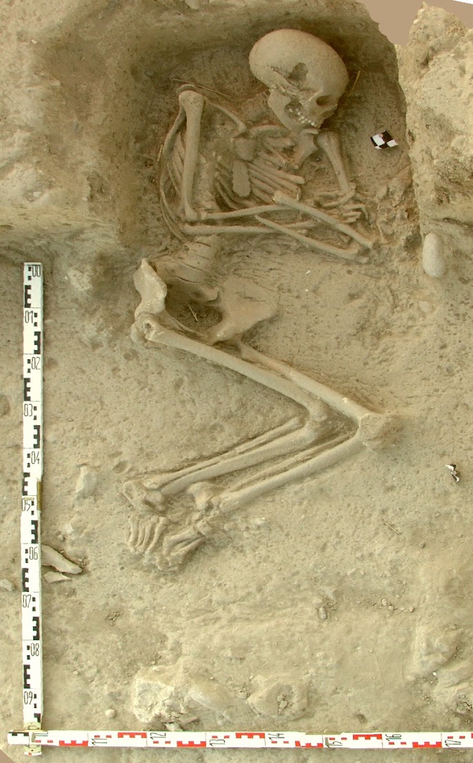 Early farmers from across Europe were direct descendants of Aegeans Early farmers from across Europe were direct descendants of Aegeans