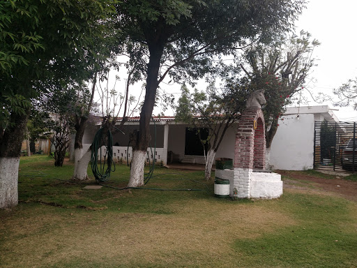 Hípico Verde Valle, Conquista, Nuevo León, San Juan Cuautlancingo, Pue., México, Servicio de embarque de mascotas | PUE