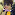 Ayu