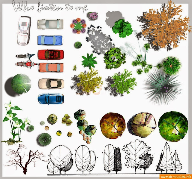 kientruc360.info_cay_psd_mb_5 kientruc360.info_cay_psd_mb_5