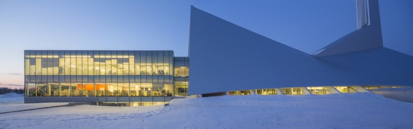 Monique Corriveau Library by Dan Hanganu and Clc