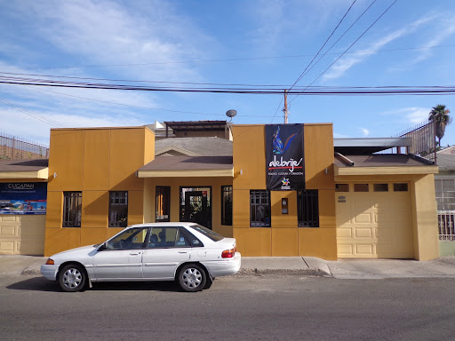 Alebrije ArtEscénico, Calle Gobernador Rico 9771, Gabilondo, 22044 Tijuana, B.C., México, Escuela de arte | BC