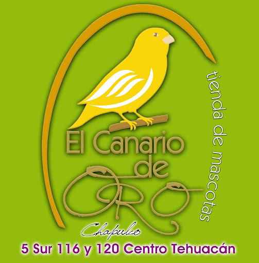 El Canario de Oro Farmacia Veterinaria, Calle 5 Sur 116, Centro de la Ciudad, 75700 Tehucan Puebla, Pue., México, Veterinario | PUE