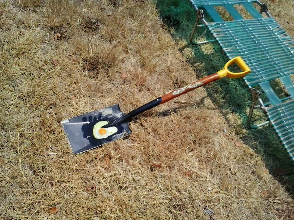 egg on a shovel