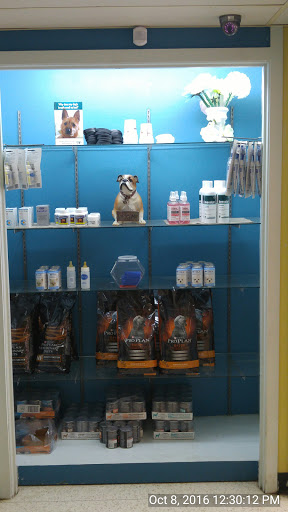 Animal Hospital «North Line Low Cost Veterinary Clinic», reviews and photos