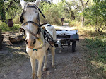 How our luggage got from the bus to our rooms