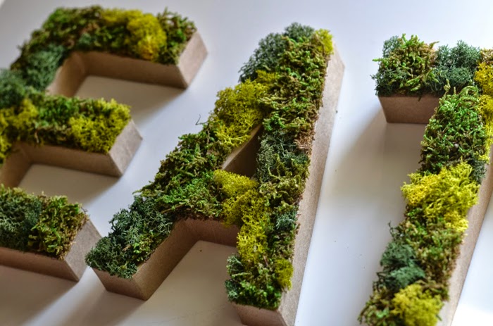 Deko moos selber machen: 18 auÃergewöhnliche diy ideen mit moos