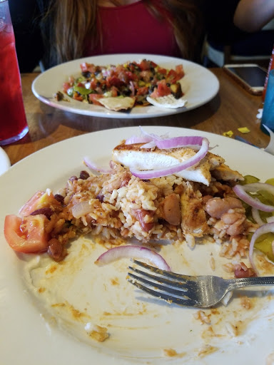 Health Food Restaurant «Pita Jungle - Arcadia», reviews and photos, 4340 E Indian School Rd, Phoenix, AZ 85018, USA