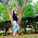 Patricia Cordeiro avatar