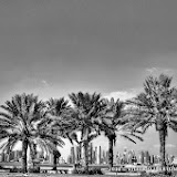 24 novembre 2013 - Doha (Qatar) la città e il Suok Wukafi - fotografia di Vittorio Ubertone