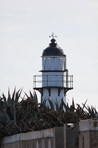 IMG_0180