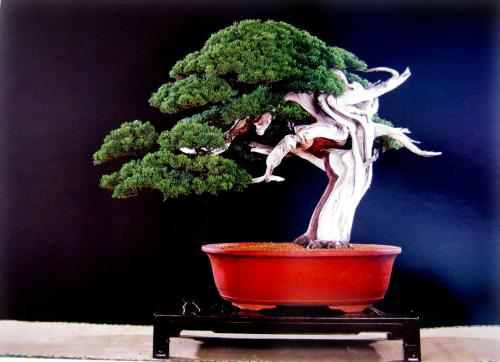Tản mạn về VÔ VI & chuyện ngoài lề cuộc sống Tản mạn về VÔ VI & chuyện ngoài lề cuộc sống