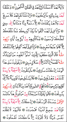 bilgisayar baskılı yasin oku bilgisayar+baskılı+yasin+oku
